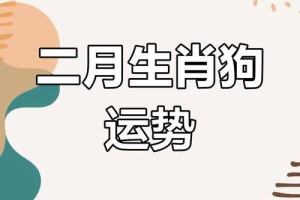 2025年属狗每月运势 2025年属狗每月运势详解全年运程大揭秘 2025年属狗每月运势 2025年属狗每月运势详解全年运程大揭秘