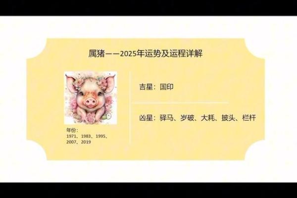 2025属猪的全年运势 2025属猪人全年运势1983