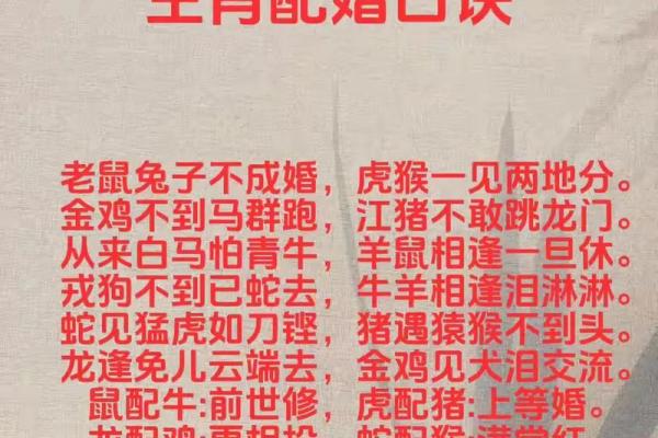 1999年属兔的最佳婚配_1999年属兔的最佳婚配白头偕老