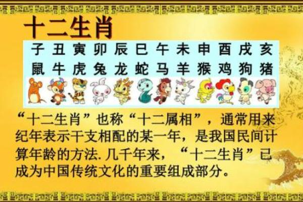 1977年元月5日生肖解密龙蛇属相之谜