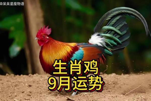 1981年属鸡2025年多少岁_1981年2025年属鸡人的全年运势 1981年属鸡2025年多少岁_1981年2025年属鸡人的全年运势