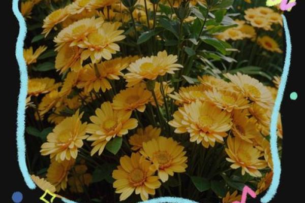 2024年7月餐饮开业吉日(2021年4月适合餐饮开业的日子)