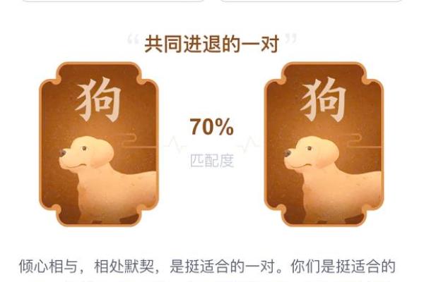 属狗和属兔的姻缘如何_属狗跟属兔的姻缘怎么样