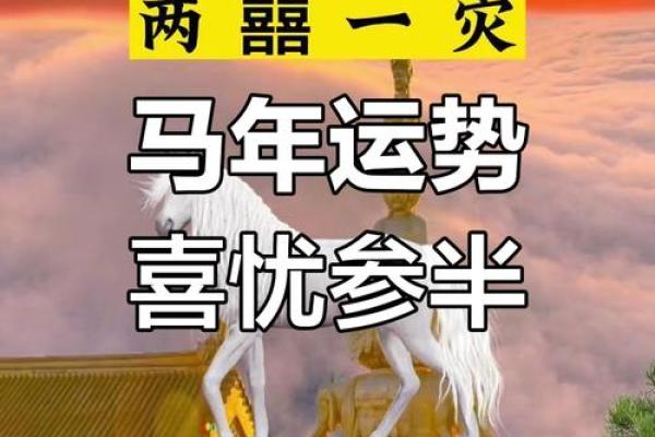 2023属马人健康运势解析全年财运吉凶预测 2023属马人健康运势解析全年财运吉凶预测