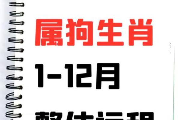 2025年狗年运势及运程1982_属狗2025年运势如何 2025年狗年运势及运程1982_属狗2025年运势如何