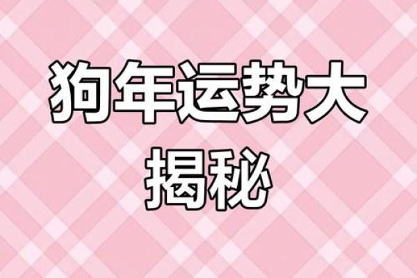 2025属狗女人全年运势1982_2025年属狗女人全年运势解析1982年出生者必看 2025属狗女人全年运势1982_2025年属狗女人全年运势解析1982年出生者必看