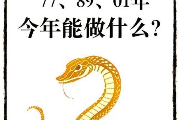 2025年蛇年属龙人运势_2025年蛇年属龙人运势怎么样