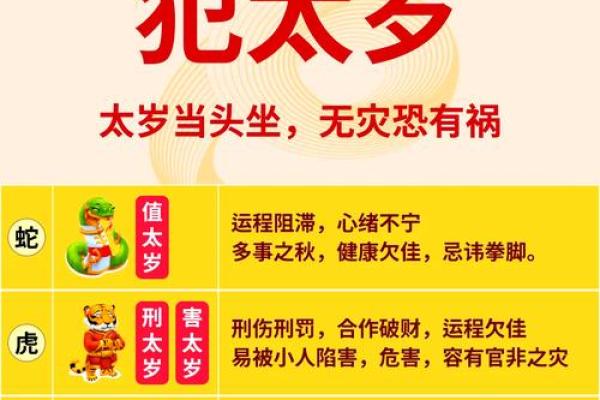属龙的在蛇年的运势怎么样呢_2025年属龙还犯太岁吗