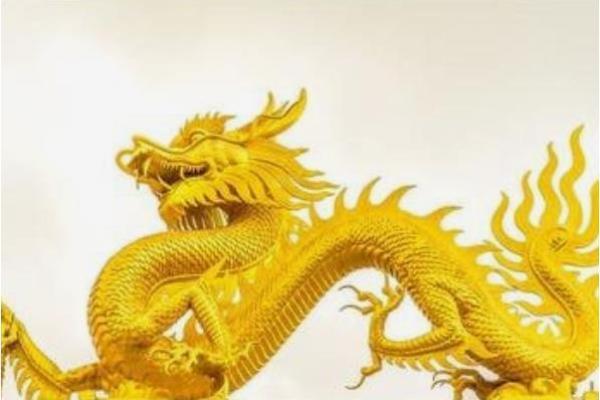 属龙财运在什么方向_1988年龙最佳发财方向