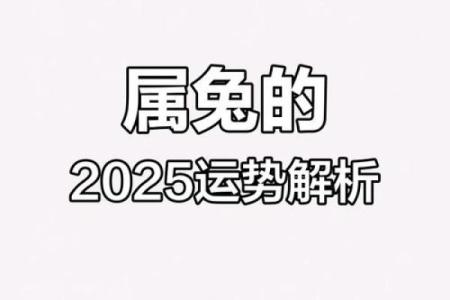 属兔今年多大年纪2025年_2025年属兔人年龄详解今年你多大
