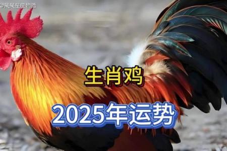 2025年属鸡人全年每月运势农历网_2025年属鸡人的全年每月运势