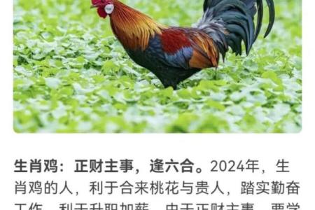 1976属龙女未来十年大运前瞻甲辰龙年起十年运势详解2024