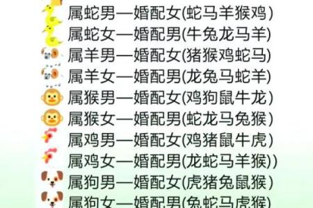 属猪和属猴的婚姻相配吗 属猪和属猴的婚姻相配吗生肖配对解析