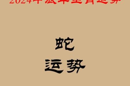 属龙的在蛇年的运势怎么样呢_2025年属龙还犯太岁吗