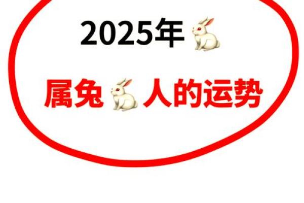 2025年属兔人全年运势详解财运事业感情全解析
