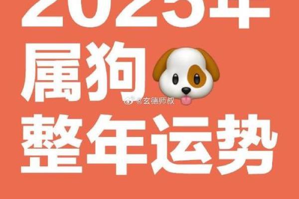 1994属狗女2025年全年的运势_1994年狗女2025年运势及运程 1994属狗女2025年全年的运势_1994年狗女2025年运势及运程