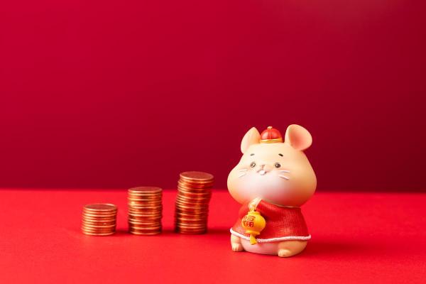 2025年属猪每月运势运程详解 2025属猪人的全年每月运势