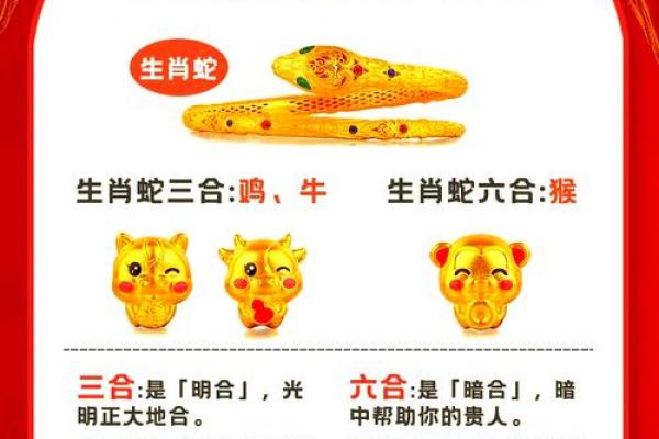 开口恶毒不留情是什么生肖(开口恶毒不留情什么生肖数字)