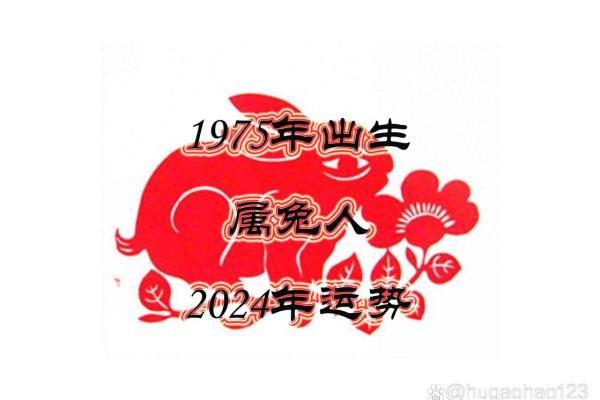 1975年属兔男今年运气如何 1975年兔男今年财运如何