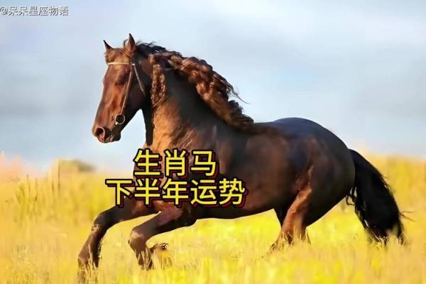 1966年属马人今日运势解析财运健康双旺贵人助力事业升