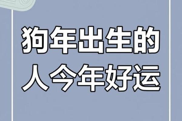 2025属狗人全年运势女 2025属狗人全年运势女性 2025属狗人全年运势女 2025属狗人全年运势女性