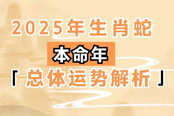 82年属狗人2025年蛇年全年运势_82年狗哪一年最难熬 82年属狗人2025年蛇年全年运势_82年狗哪一年最难熬