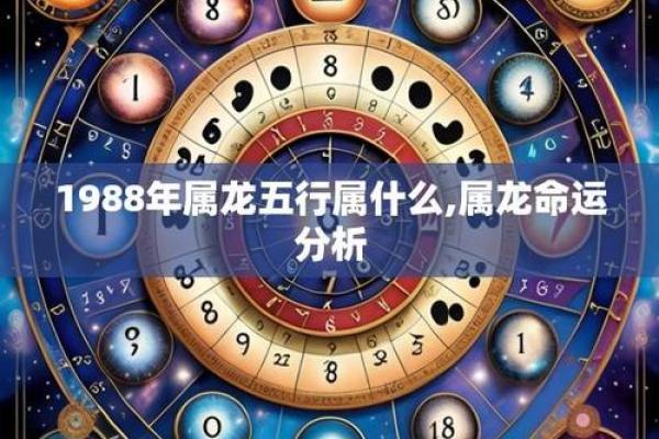 2000龙是什么命 五行属什么 2000龙是什么命五行属什么的