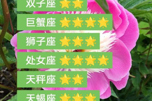 2025年4月6日今日白羊座星座运势(2025年4月6日今日白羊座星座运势查询)