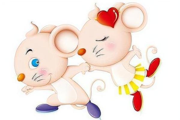 猪和鼠明年能结婚吗