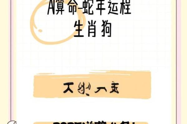 2025属狗的多大_2025年属狗的人年龄多大详细解析 2025属狗的多大_2025年属狗的人年龄多大详细解析