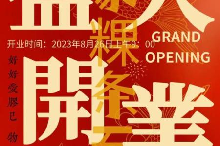 三月二十五号开业好吗