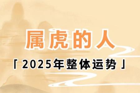 2025年属兔的人运势_属兔人2025年虎年全年运势
