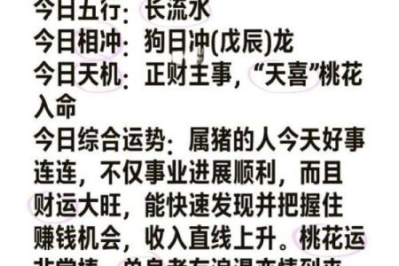 2025年属猪每月运势运程详解 2025属猪人的全年每月运势