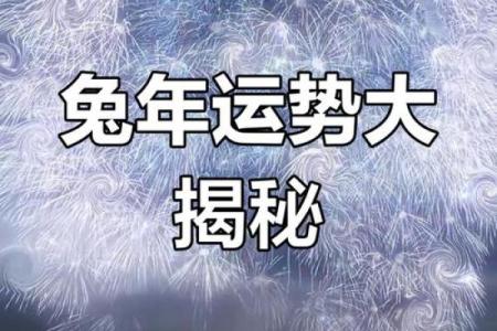 属兔在2025年的运势怎么样 全年 2025年属兔全年运势详解财运事业感情全面解析