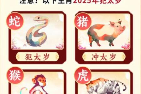 2025年属鸡女每月运势详解69年出生者全年运程预测