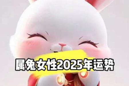 2025年属兔人的全年运势每月运势 2025年属兔人全年每月运势详解吉凶预测与运势指南