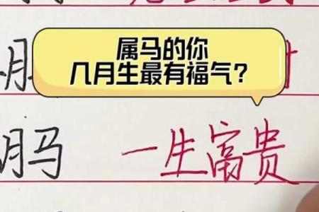 2014年属马的多大_2014甲午马年生肖年龄详解属马者岁数月份对照