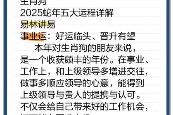 2025属狗人最旺的颜色_2025年属狗人最旺颜色揭秘提升运势的关键选择 2025属狗人最旺的颜色_2025年属狗人最旺颜色揭秘提升运势的关键选择