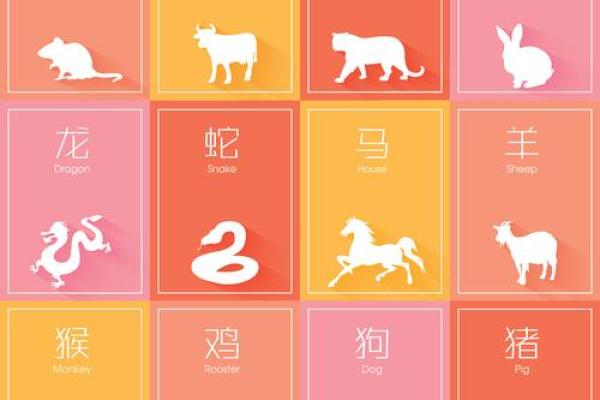 美轮美奂是什么生肖(美轮美奂猜生肖)