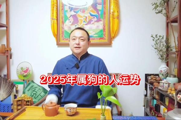 2025年属狗人的运气 2025年属狗人运势解析财运事业感情全预测 2025年属狗人的运气 2025年属狗人运势解析财运事业感情全预测