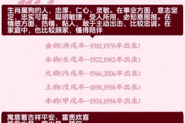 属狗年份表及年龄查询详细解析与对照表 属狗年份表及年龄查询详细解析与对照表