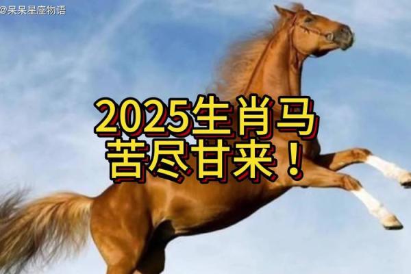 2025属马多少岁了 2025年属马人多少岁年龄计算与运势解析