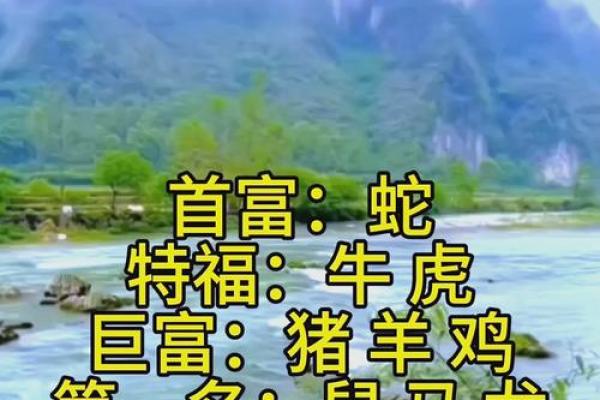 五冬六夏南北聚打一动物生肖(五冬六夏下一句)