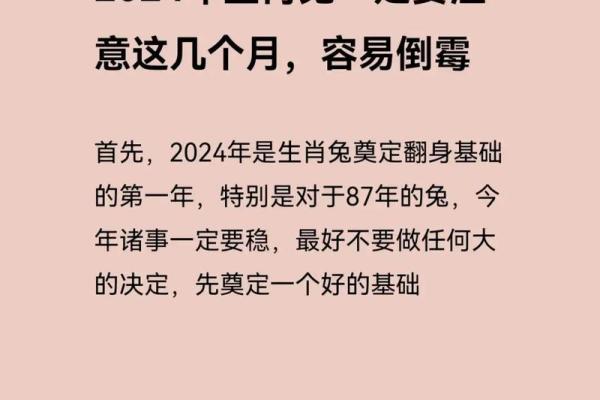 属兔2025几岁 2025年属兔人的全年运势每月运势