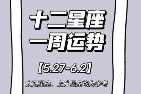 属狗人在蛇年的运势_属狗人蛇年运势解析吉凶预测与转运指南