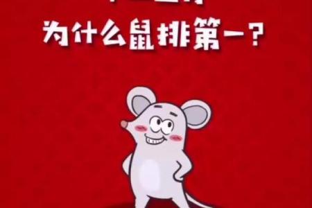 南北通商打一生肖今天晚上开什么生肖(南北通商猜生肖)