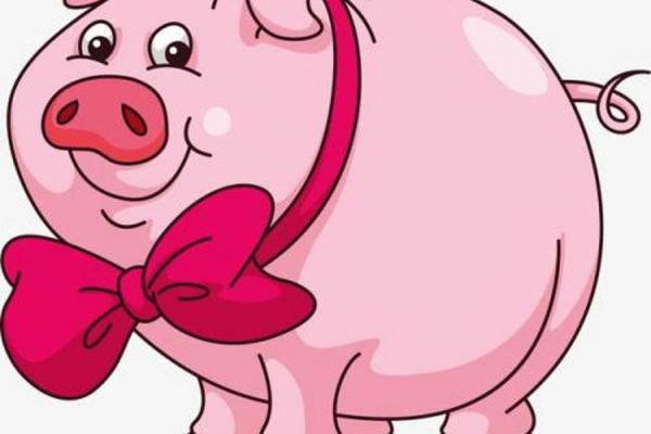 2007年属猪人的命 2007年属猪人命理解析运势性格与未来展望