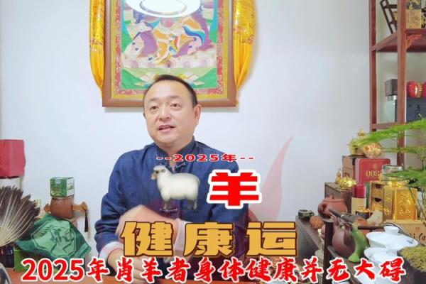 2025属羊的佩戴什么最旺_2025属羊佩戴什么运气最好呢 2025属羊的佩戴什么最旺_2025属羊佩戴什么运气最好呢