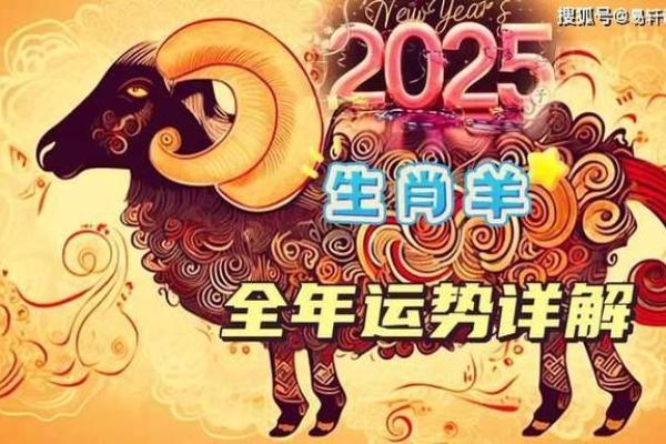 属羊人2025年运势完整版_属羊人2025年运势详解全年运程完整版 属羊人2025年运势完整版_属羊人2025年运势详解全年运程完整版