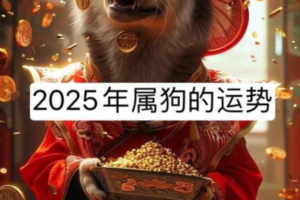 2025年属狗全年运势_2025年属狗全年运势如何